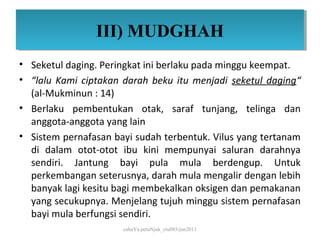 III) MUDGHAH
                III) MUDGHAH
• Seketul daging. Peringkat ini berlaku pada minggu keempat.
• “lalu Kami ciptakan darah beku itu menjadi seketul daging“
  (al-Mukminun : 14)
• Berlaku pembentukan otak, saraf tunjang, telinga dan
  anggota-anggota yang lain
• Sistem pernafasan bayi sudah terbentuk. Vilus yang tertanam
  di dalam otot-otot ibu kini mempunyai saluran darahnya
  sendiri. Jantung bayi pula mula berdengup. Untuk
  perkembangan seterusnya, darah mula mengalir dengan lebih
  banyak lagi kesitu bagi membekalkan oksigen dan pemakanan
  yang secukupnya. Menjelang tujuh minggu sistem pernafasan
  bayi mula berfungsi sendiri.
                      cahaYa petuNjuk_ctu085/jun2011
 