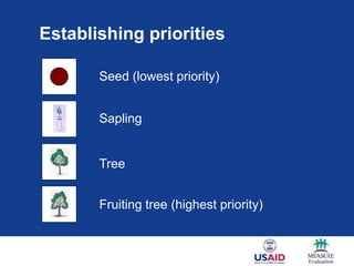 Establishing priorities

       Seed (lowest priority)


       Sapling


       Tree


       Fruiting tree (highest priority)
 