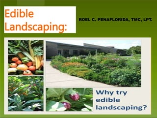 Edible
Landscaping:
ROEL C. PENAFLORIDA, TMC, LPT.
 
