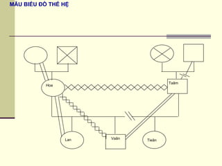 MẪU BIỂU ĐỒ THẾ HỆ Hoa Taâm Vaân Lan Tieân 
