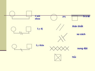 Cưới nhau Ly dị Ly thân PN Nam xa cách xung đột  thân thiết   Mất 
