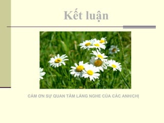 Kết luận CÁM ƠN SỰ QUAN TÂM LẮNG NGHE CỦA CÁC ANH/CHỊ 