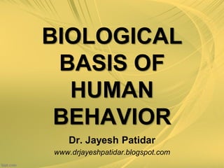 BIOLOGICAL
BASIS OF
HUMAN
BEHAVIOR
Dr. Jayesh Patidar
www.drjayeshpatidar.blogspot.com
 