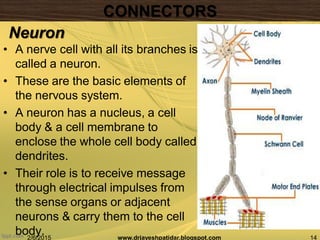 • A nerve cell with all its branches is
called a neuron.
• These are the basic elements of
the nervous system.
• A neuron has a nucleus, a cell
body & a cell membrane to
enclose the whole cell body called
dendrites.
• Their role is to receive message
through electrical impulses from
the sense organs or adjacent
neurons & carry them to the cell
body.2/6/2015 14www.drjayeshpatidar.blogspot.com
Neuron
CONNECTORS
 