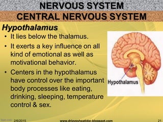 NERVOUS SYSTEM
2/6/2015 21www.drjayeshpatidar.blogspot.com
CENTRAL NERVOUS SYSTEM
• It lies below the thalamus.
• It exerts a key influence on all
kind of emotional as well as
motivational behavior.
• Centers in the hypothalamus
have control over the important
body processes like eating,
drinking, sleeping, temperature
control & sex.
Hypothalamus
 
