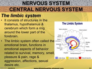 NERVOUS SYSTEM
2/6/2015 22www.drjayeshpatidar.blogspot.com
CENTRAL NERVOUS SYSTEM
• It consists of structures in the
thalamus, hypothalamus &
cerebrum which form a ring
around the lower part of the
forebrain.
• The limbic system often called the
emotional brain, functions in
emotional aspects of behavior
related to survival, memory, smell,
pleasure & pain, rage &
aggression, affections, sexual
desire etc.
The limbic system
 