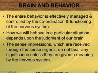 BRAIN AND BEHAVIOR
2/6/2015 29www.drjayeshpatidar.blogspot.com
• The entire behavior is effectively managed &
controlled by the co-ordination & functioning
of the nervous system.
• How we will behave in a particular situation
depends upon the judgment of our brain.
• The sense impressions, which are received
through the sense organs, do not bear any
significance unless they are given a meaning
by the nervous system.
 