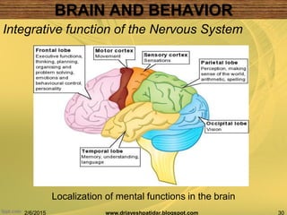 2/6/2015 30www.drjayeshpatidar.blogspot.com
Integrative function of the Nervous System
Localization of mental functions in the brain
BRAIN AND BEHAVIOR
 