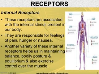 • These receptors are associated
with the internal stimuli present in
our body.
• They are responsible for feelings
of pain, hunger or nausea.
• Another variety of these internal
receptors helps us in maintaining
balance, bodily posture &
equilibrium & also exercise
control over the muscle.
2/6/2015 5www.drjayeshpatidar.blogspot.com
Internal Receptors
RECEPTORS
 