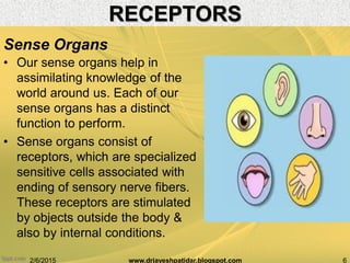 • Our sense organs help in
assimilating knowledge of the
world around us. Each of our
sense organs has a distinct
function to perform.
• Sense organs consist of
receptors, which are specialized
sensitive cells associated with
ending of sensory nerve fibers.
These receptors are stimulated
by objects outside the body &
also by internal conditions.
2/6/2015 6www.drjayeshpatidar.blogspot.com
Sense Organs
RECEPTORS
 