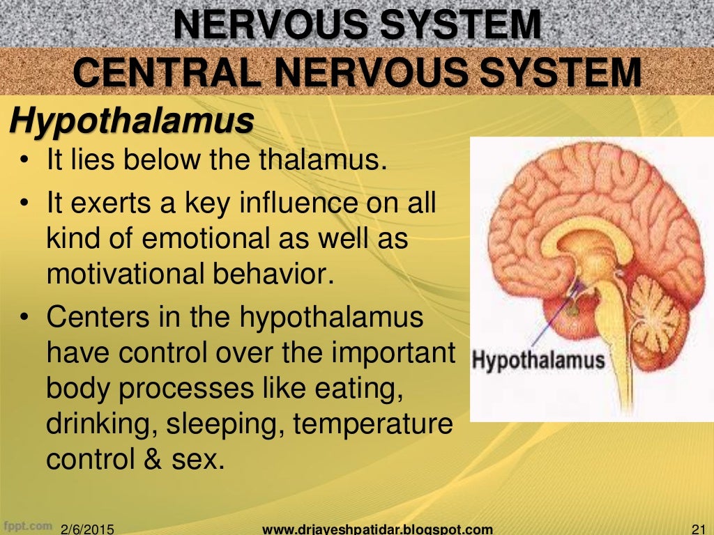 Biological basis of human behavior
