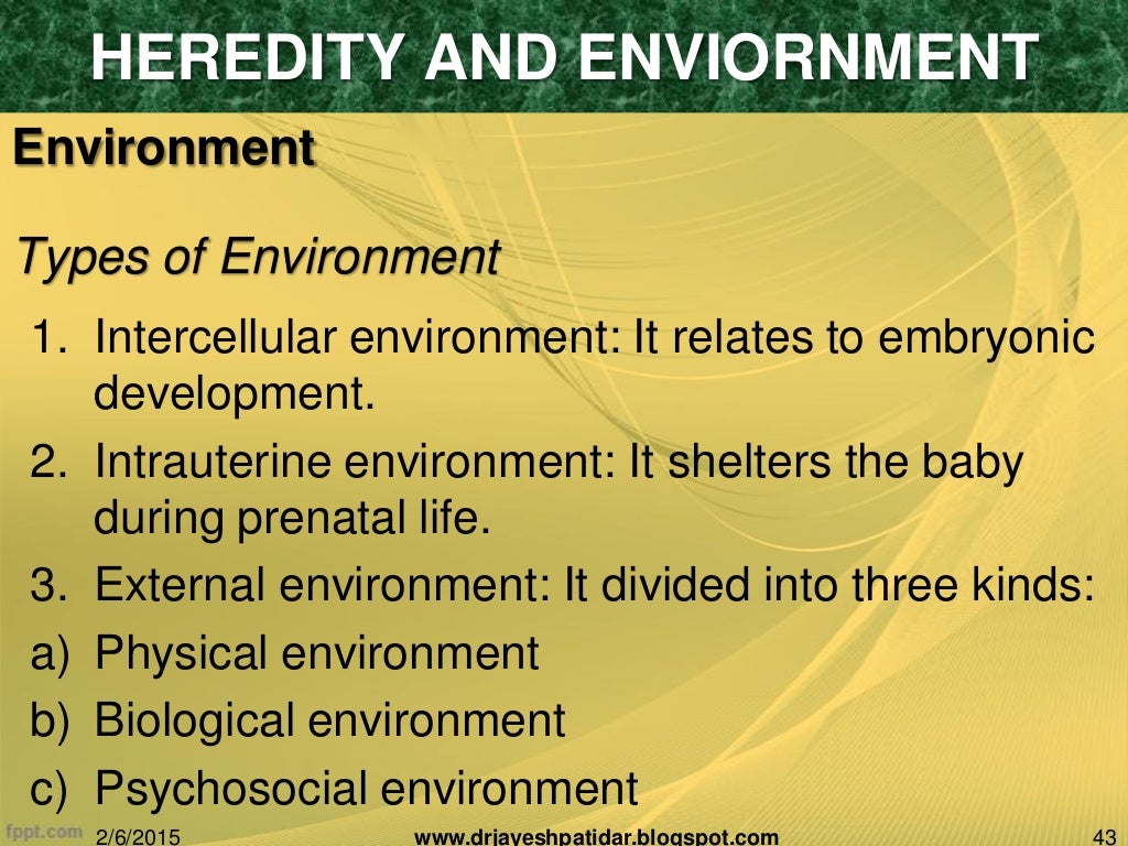 Biological basis of human behavior