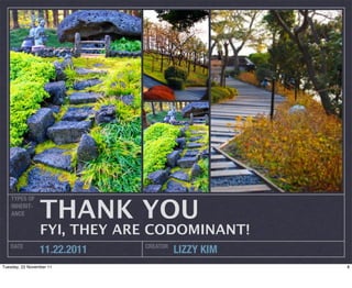 THANK YOU
    TYPES OF
    INHERIT-
    ANCE


                 FYI, THEY ARE CODOMINANT!
   DATE                       CREATOR
                 11.22.2011             LIZZY KIM
Tuesday, 22 November 11                             8
 