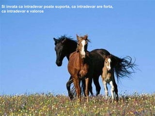 Si invata ca intradevar poate suporta, ca intradevar are forta, ca intradevar e valoros 