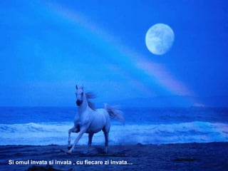 Si omul invata si invata , cu fiecare zi invata… 