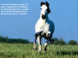 Cu timpul intelegi ca doar cel care e capabil sa te iubeasca cu defectele tale,fara a pretide sa te schimbi,iti poate aduce fericirea pe care ti-o doresti 