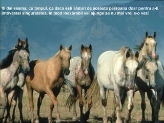 Iti dai seama, cu timpul, ca daca esti alaturi de aceasta persoana doar pentru a-ti intovarasi singuratatea, in mod inexorabil vei ajunge sa nu mai vrei s-o vezi 