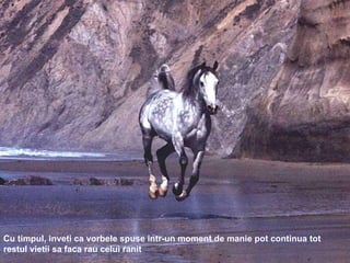 Cu timpul, inveti ca vorbele spuse intr-un moment de manie pot continua tot restul vietii sa faca rau celui ranit 