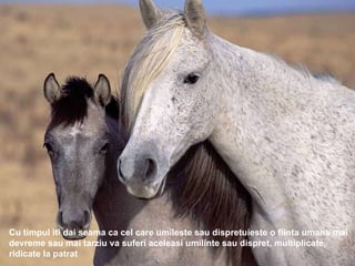 Cu timpul iti dai seama ca cel care umileste sau dispretuieste o fiinta umana mai devreme sau mai tarziu va suferi aceleasi umilinte sau dispret, multiplicate, ridicate la patrat 