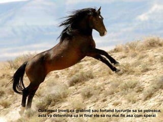 Cu timpul inveti ca grabind sau fortand lucrurile sa se petreaca, asta va determina ca in final ele sa nu mai fie asa cum sperai 