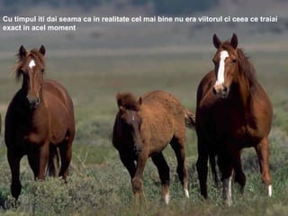 Cu timpul iti dai seama ca in realitate cel mai bine nu era viitorul ci ceea ce traiai exact in acel moment 