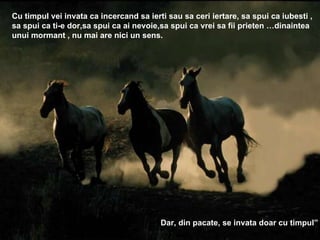 Cu timpul vei invata ca incercand sa ierti sau sa ceri iertare, sa spui ca iubesti , sa spui ca ti-e dor,sa spui ca ai nevoie,sa spui ca vrei sa fii prieten …dinaintea unui mormant , nu mai are nici un sens. Dar, din pacate, se invata doar cu timpul” 