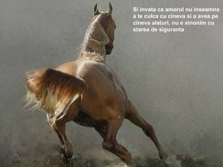 Si invata ca amorul nu inseamna a te culca cu cineva si a avea pe cineva alaturi, nu e sinonim cu starea de siguranta 