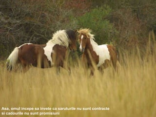 Asa, omul incepe sa invete ca saruturile nu sunt contracte si cadourile nu sunt promisiuni 