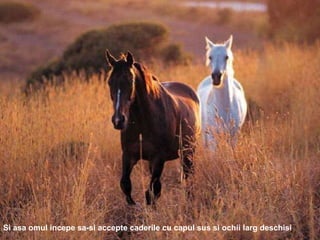 Si asa omul incepe sa-si accepte caderile cu capul sus si ochii larg deschisi 