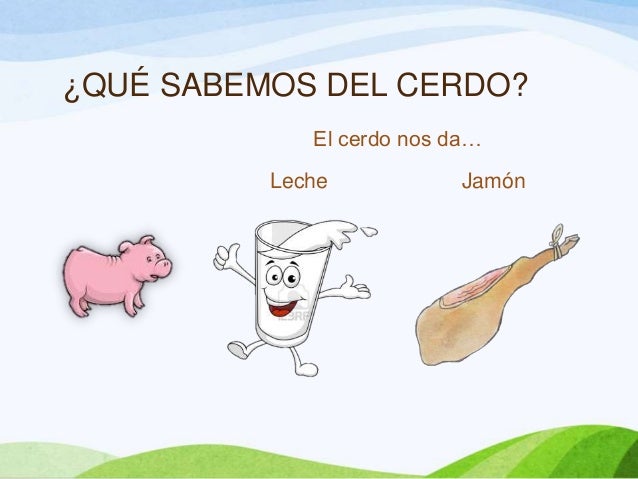 Cuánto sabemos de los animales presentación