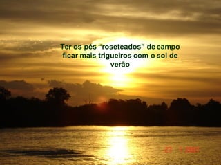 Ter os pés “roseteados” de campo ficar mais trigueiros com o sol de verão 