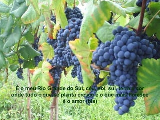 É o meu Rio Grande do Sul, céu, sol, sul, terra e cor onde tudo o que se planta cresce e o que mais floresce é o amor (bis) 