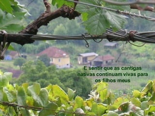 E sentir que as cantigas nativas continuam vivas para os filhos meus 