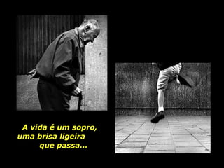 A vida é um sopro,  uma brisa ligeira  que passa... 