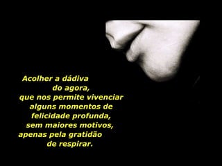 Acolher a dádiva  do agora, que nos permite vivenciar alguns momentos de felicidade profunda, sem maiores motivos,  apenas pela gratidão  de respirar.  