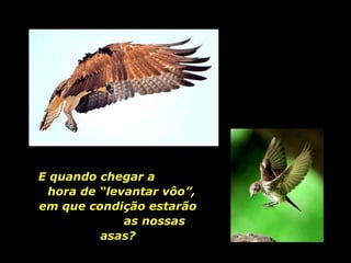 E quando chegar a  hora de “levantar vôo”,  em que condição estarão  as nossas asas? 
