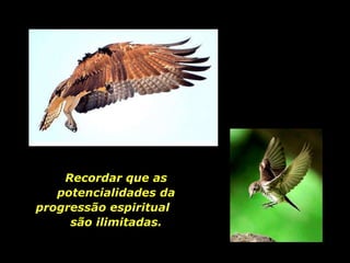 Recordar que as potencialidades da progressão espiritual  são ilimitadas. 