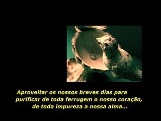 Aproveitar os nossos breves dias para  purificar de toda ferrugem o nosso coração,  de toda impureza a nossa alma... 