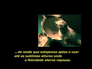 ...de modo que estejamos aptos a voar até as sublimes alturas onde  a felicidade eterna repousa. 