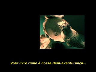 Voar livre rumo à nossa Bem-aventurança... 