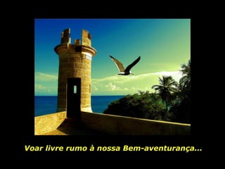 Voar livre rumo à nossa Bem-aventurança... 