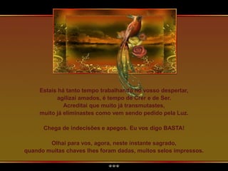 Estais há tanto tempo trabalhando no vosso despertar,
agilizai amados, é tempo de Crer e de Ser.
Acreditai que muito já transmutastes,
muito já eliminastes como vem sendo pedido pela Luz.
Chega de indecisões e apegos. Eu vos digo BASTA!
Olhai para vos, agora, neste instante sagrado,
quando muitas chaves lhes foram dadas, muitos selos impressos.
 