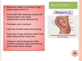 Proses Kehamilan & Perkembangan Janin, Bayi dan Kanak-kanak | PPT