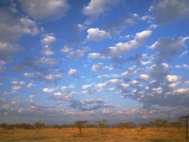 Cuaca Cuaca
