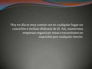 Hoy en día es muy común ver en cualquier lugar un
cuaciclón e incluso disfrutar de él. Así, numerosas
empresas organizan rutas o excursiones en
cuaciclón por cualquier rincón.
 
