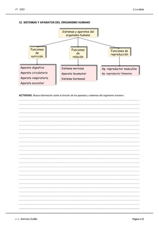 4 º ESO                                                                                                                                                                       I) La célula




   33. SISTEMAS Y APARATOS DEL ORGANISMO HUMANO


                                                                   Sistemas yyaparatos del
                                                                    Sistemas aparatos del
                                                                       organismo humano
                                                                      organismo humano



                     Funciones
                    Funciones                                                     Funciones
                                                                                 Funciones                                                   Funciones de
                                                                                                                                            Funciones de
                        de
                       de                                                             de
                                                                                     de                                                      reproducción
                                                                                                                                            reproducción
                     nutrición
                    nutrición                                                      relación
                                                                                  relación


      Aparato digestivo
     Aparato digestivo                                             Sistema nervioso                                             Ap. reproductor masculino
                                                                  Sistema nervioso                                             Ap. reproductor masculino
      Aparato circulatorio
     Aparato circulatorio                                          Aparato locomotor                                            Ap. reproductor femenino
                                                                  Aparato locomotor                                            Ap. reproductor femenino
      Aparato respiratorio
     Aparato respiratorio                                          Sistema hormonal
                                                                  Sistema hormonal
      Aparato excretor
     Aparato excretor



   ACTIVIDAD: Busca información sobre la función de los aparatos y sistemas del organismo humano::
   .....................................................................................................................................................................................
   .....................................................................................................................................................................................
   .....................................................................................................................................................................................
   .....................................................................................................................................................................................
   .....................................................................................................................................................................................
   .....................................................................................................................................................................................
   .....................................................................................................................................................................................
   .....................................................................................................................................................................................
   .....................................................................................................................................................................................
   .....................................................................................................................................................................................
   .....................................................................................................................................................................................
   .....................................................................................................................................................................................
   .....................................................................................................................................................................................
   .....................................................................................................................................................................................
   .....................................................................................................................................................................................
   .....................................................................................................................................................................................
   .....................................................................................................................................................................................
   .....................................................................................................................................................................................
   .....................................................................................................................................................................................
   .....................................................................................................................................................................................
   .....................................................................................................................................................................................
   .....................................................................................................................................................................................
   .....................................................................................................................................................................................
   .....................................................................................................................................................................................
   .....................................................................................................................................................................................
   .....................................................................................................................................................................................
   .....................................................................................................................................................................................



J. L. Sánchez Guillén                                                                                                                                                        Página I-22
 