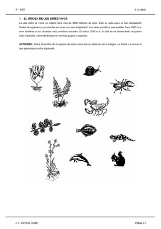 4 º ESO                                                                                                    I) La célula


   1. EL ORIGEN DE LOS SERES VIVOS
   La vida sobre la Tierra se originó hace más de 3500 millones de años. Esto se sabe pues se han descubierto
   fósiles de organismos procariotas en rocas con esa antigüedad. Los seres primitivos que existían hace 3500 m.a.
   eran similares a las bacterias más primitivas actuales. En estos 3500 m.a. la vida se ha desarrollado ocupando
   todo el planeta y diversificándose en muchos grupos y especies.


   ACTIVIDAD: Indica el nombre de los grupos de seres vivos que se observan en la imagen y la fecha o la era en la
   que aparecieron sobre el planeta.




J. L. Sánchez Guillén                                                                                       Página I-3
 