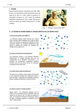 4 º ESO                                                                                                     I) La célula


   7. OPARIN
   Oparin, Alexandr Ivánovich: Bioquímico ruso (1894 -1980),
   pionero en el desarrollo de teorías bioquímicas acerca del
   origen de la vida en la Tierra. Oparin se graduó en la
   Universidad de Moscú en 1917, donde fue nombrado
   catedrático de bioquímica en 1927, y desde 1946 hasta su
   muerte fue director del Instituto de Bioquímica A. N. Bakh
   de Moscú


                                                                Fig. 7   Alexandr I. Oparin (1894 -1980).


   8. LA TEORÍA DE OPARIN SOBRE EL ORIGEN ABIÓTICO DE LOS SERES VIVOS


    1) El punto de partida, hace 3800 m.a.

      La atmósfera primitiva estaba formada por: metano
    (CH4), amoníaco (NH3), hidrógeno (H2) y vapor de agua
    (H2O), era reductora y anaerobia. No obstante en estas
    sustancias estaban los principales bioelementos que
    forman la materia viva: carbono (C), nitrógeno (N),
    hidrógeno (H) y oxígeno (O).




    2) ¿Cómo se formaron las biomoléculas?

    Las radiaciones solares y las descargas eléctricas
    proporcionaron la energía suficiente para que los
    componentes de la atmósfera reaccionasen y se
    formasen las biomoléculas, compuestos orgánicos
    sencillos como los que ahora forman los principales
    compuestos de los seres vivos.




    3) ¿Cuáles fueron estas biomoléculas?

    Se formaron así, azúcares, grasas simples, aminoácidos
    y otras moléculas sencillas que reaccionaron entre sí
    para dar lugar a moléculas más complejas: proteinas,
    grasas complejas, polisacáridos y ácidos nucléicos.




    4) ¿Cómo se formó el "caldo primitivo"

    Según Oparín, los compuestos orgánicos que se
    formaron en la atmósfera fueron arrastrados hacia los
    mares por las lluvias y allí, a lo largo de millones de
    años, se concentraron formando una disolución espesa
    de agua y moléculas orgánicas e inorgánicas que él
    llamó "caldo primitivo".




J. L. Sánchez Guillén                                                                                       Página I-6
 