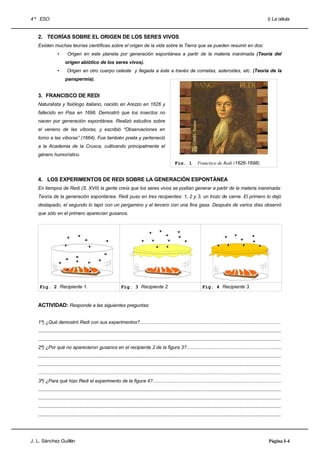 4 º ESO                                                                                                                                                                       I) La célula


   2. TEORÍAS SOBRE EL ORIGEN DE LOS SERES VIVOS
   Existen muchas teorías científicas sobre el origen de la vida sobre la Tierra que se pueden resumir en dos:
                 •      Origen en este planeta por generación espontánea a partir de la materia inanimada (Teoría del
                       origen abiótico de los seres vivos).
                 •      Origen en otro cuerpo celeste y llegada a éste a través de cometas, asteroides, etc. (Teoría de la
                       panspermia).


   3. FRANCISCO DE REDI
   Naturalista y fisiólogo italiano, nacido en Arezzo en 1626 y
   fallecido en Pisa en 1698. Demostró que los insectos no
   nacen por generación espontánea. Realizó estudios sobre
   el veneno de las víboras, y escribió “Observaciones en
   torno a las víboras” (1664). Fue también poeta y perteneció
   a la Academia de la Crusca, cultivando principalmente el
   género humorístico.
                                                                                                        Fig. 1           Francisco de Redi (1626-1698).


   4. LOS EXPERIMENTOS DE REDI SOBRE LA GENERACIÓN ESPONTÁNEA
   En tiempos de Redi (S. XVII) la gente creía que los seres vivos se podían generar a partir de la materia inanimada:
   Teoría de la generación espontánea. Redi puso en tres recipientes: 1, 2 y 3, un trozo de carne. El primero lo dejó
   destapado, el segundo lo tapó con un pergamino y el tercero con una fina gasa. Después de varios días observó
   que sólo en el primero aparecían gusanos.




    Fig. 2 Recipiente 1.                                        Fig. 3 Recipiente 2.                                         Fig. 4 Recipiente 3.


   ACTIVIDAD: Responde a las siguientes preguntas:


   1ª) ¿Qué demostró Redi con sus experimentos?.........................................................................................................
   .....................................................................................................................................................................................
   .....................................................................................................................................................................................
   2ª) ¿Por qué no aparecieron gusanos en el recipiente 2 de la figura 3?.......................................................................
   .....................................................................................................................................................................................
   .....................................................................................................................................................................................
   .....................................................................................................................................................................................
   3ª) ¿Para qué hizo Redi el experimento de la figura 4?................................................................................................
   .....................................................................................................................................................................................
   .....................................................................................................................................................................................
   .....................................................................................................................................................................................
   .....................................................................................................................................................................................




J. L. Sánchez Guillén                                                                                                                                                          Página I-4
 