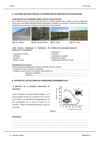 4º ESO IV) Ecología
8. FACTORES QUE INFLUYEN EN LA DISTRIBUCIÓN DE ESPECIES EN UN ECOSISTEMA
¿POR QUÉ NO HAY LOS MISMOS SERES VIVOS EN TODAS PARTES?
En un desierto no hay los mismos seres vivos que en un bosque tropical. Esto es debido a que en la distribución
de los seres vivos influyen diferentes factores (temperatura, humedad, luz, presencia o ausencia de depredadores,
de parásitos, etc.) que van a condicionar que haya unas u otras especies.
Fig. 19 .Desierto Fig. 20 Bosque atlántico Fig. 21 Taiga Fig. 22 Tundra
¿Qué factores condicionan la distribución de
especies en un ecosistema?
- Topográficos: el relieve.
-Climáticos.
-Químicos.
-Edáficos: suelos.
¿Cuáles son los principales factores?
- Temperatura.
- Humedad.
- Luminosidad o insolación.
- Salinidad de la aguas.
- Componentes minerales del suelo.
Variabilidad de los factores.
En todo ecosistema distinguiremos: factores constantes, factores variables.
- Constantes: los que no cambian. Por ejemplo:..............................................................................................................
- Variables: los que cambian con el tiempo. Estos pueden ser:
- Regulares o periódicos:...................:...............................................................................................
- Irregulares:.......................................................................................................................................
9. ESTUDIO DE LOS FACTORES EN CONDICIONES EXPERIMENTALES
1) Influencia de la humedad, experimento de
laboratorio.
Se ha construido una caja de madera alargada en la
que la humedad variaba de un extremo al otro entre el
0 y el 100% y se han estudiado los desplazamientos de
dos invertebrados por la caja en función de la
humedad. Analiza los resultados obtenidos y saca una
conclusión.
Fig. 23
Conclusión:
.....................................................................................................................................................................................
.....................................................................................................................................................................................
.....................................................................................................................................................................................
.....................................................................................................................................................................................
J. L. Sánchez Guillén Página IV-12
Humedad relativa del aire
Cantidaddeanimales
A
B
 